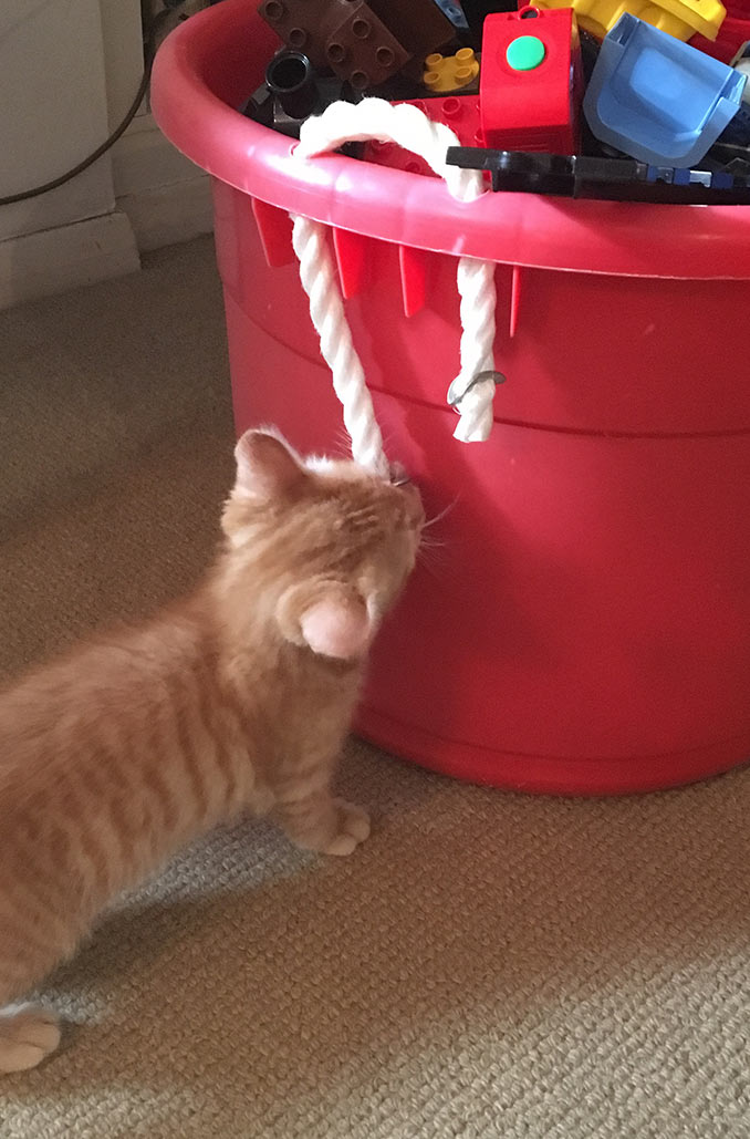Billy enjoyed playing with the handle on the duplo bucket