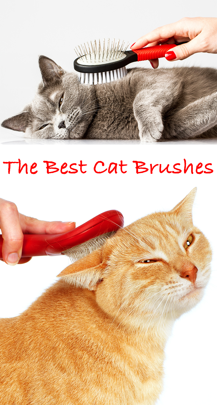 best comb for long haired cats