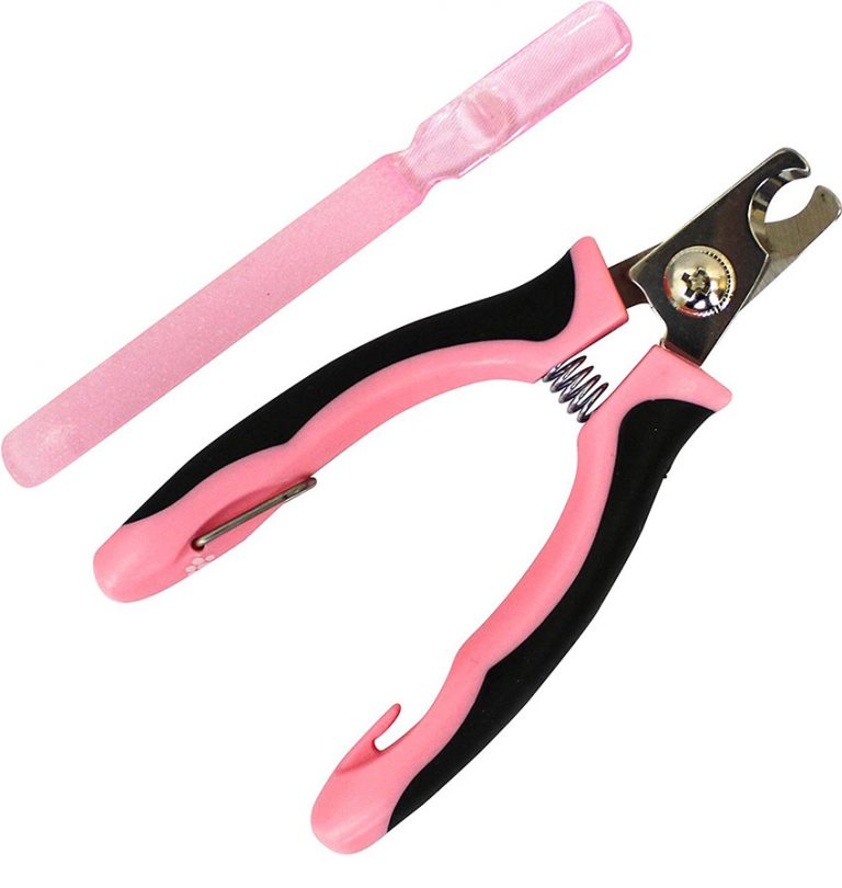 Choosing And Using Cat Nail Clippers A complete guide from The Happy