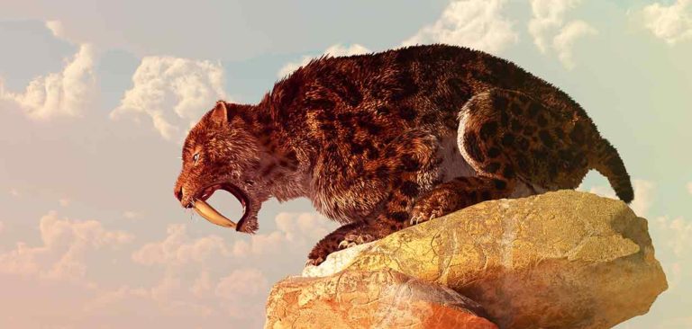 extinct cats
