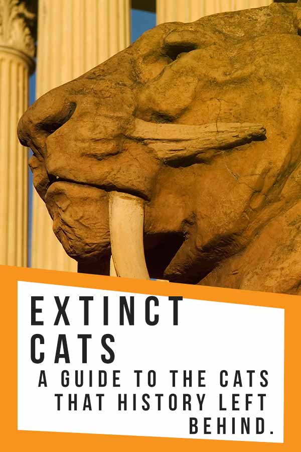 extinct cats