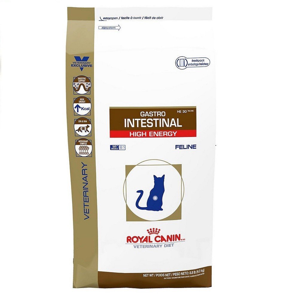 High Protein Cat Food Diarrhea High Protein Cat Food Diarrhea