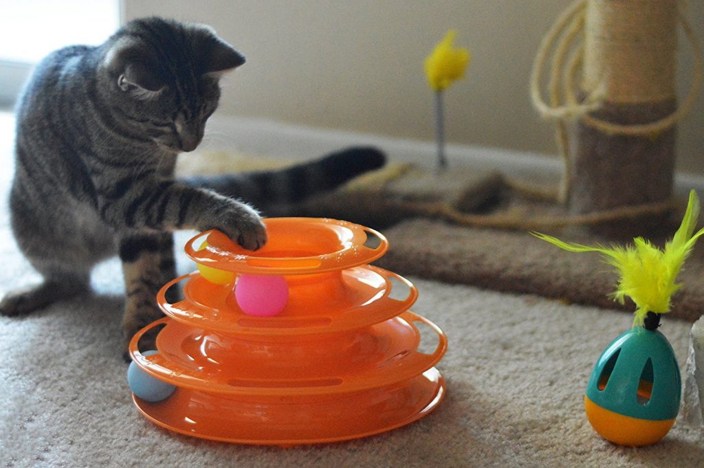 fun toys for indoor cats