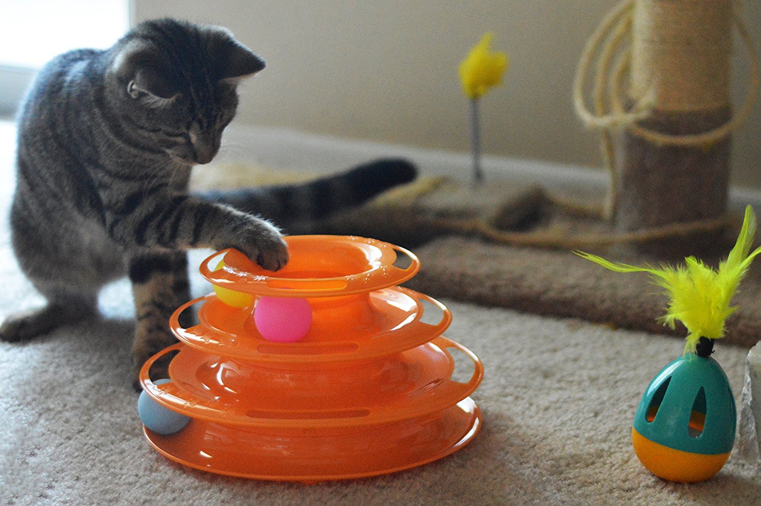 cat toys for indoor cats