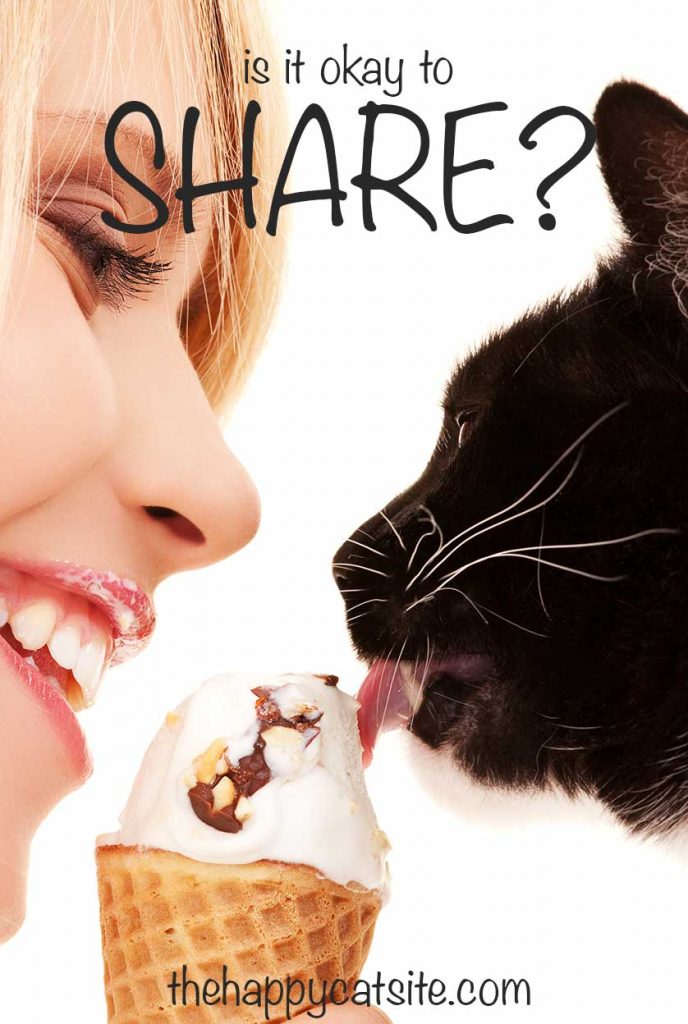 Can Cats Eat Ice Cream? A Guide by The Happy Cat Site