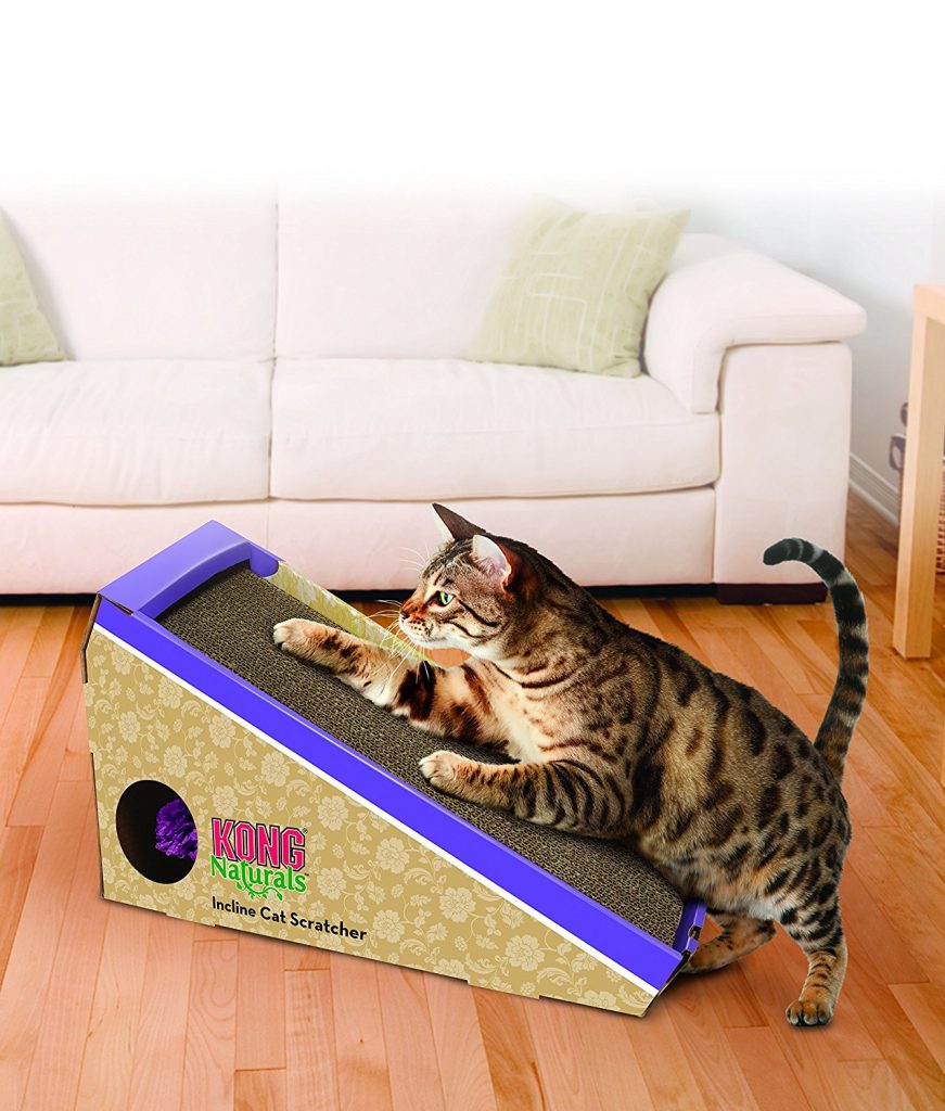 Guide To Cat Toys For Indoor Cats by The Happy Cat Site