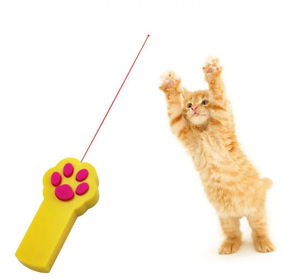 fun toys for indoor cats