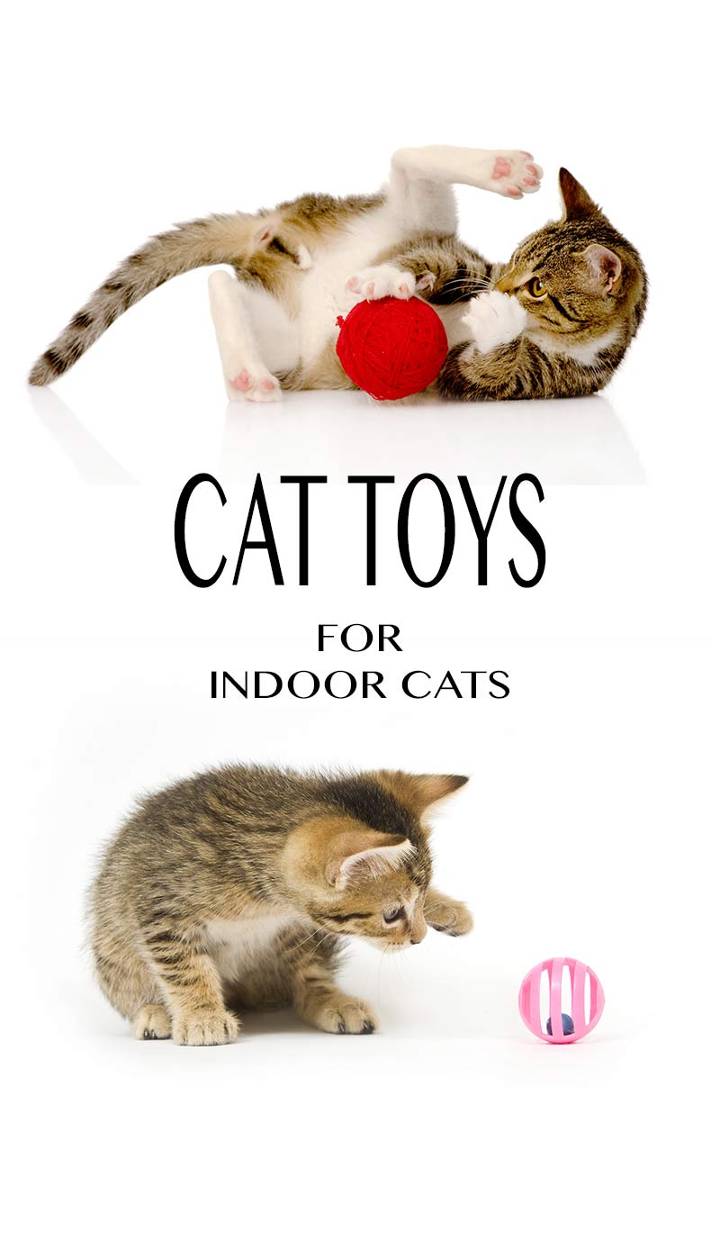 Guide To Cat Toys For Indoor Cats by The Happy Cat Site Guide To Cat Toys For Indoor Cats by The Happy Cat Site