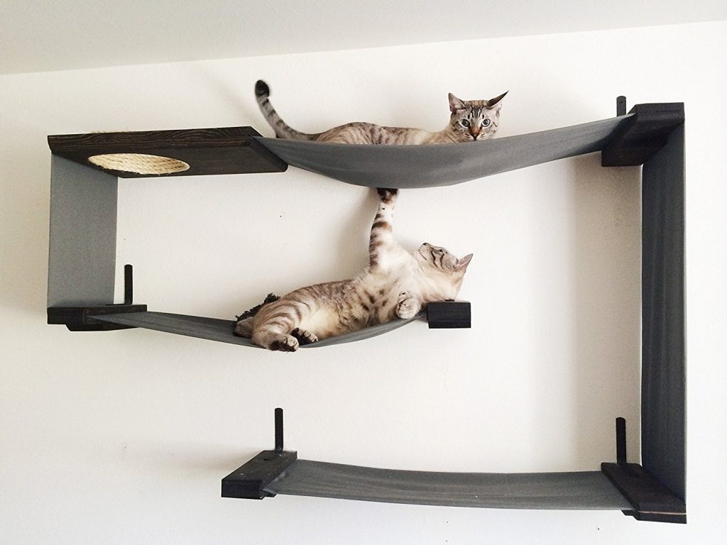 small cat tree with hammock