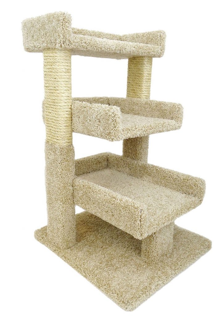 cat perches for large cats - the happy cat site