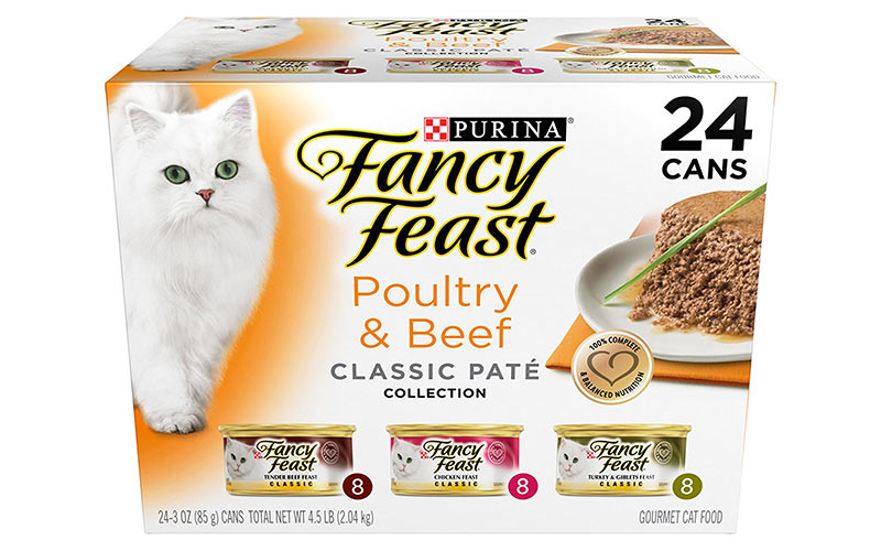 Best Cheap Cat Food