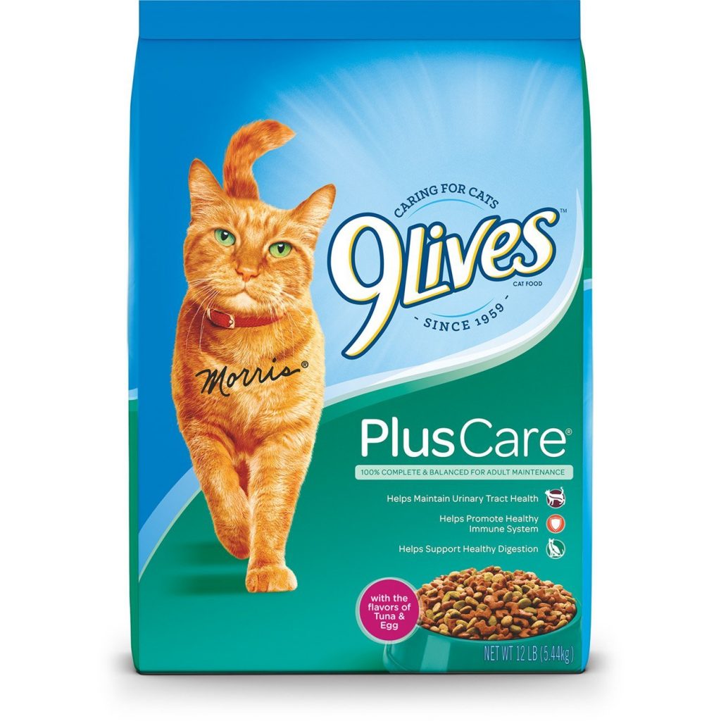 best inexpensive kitten food