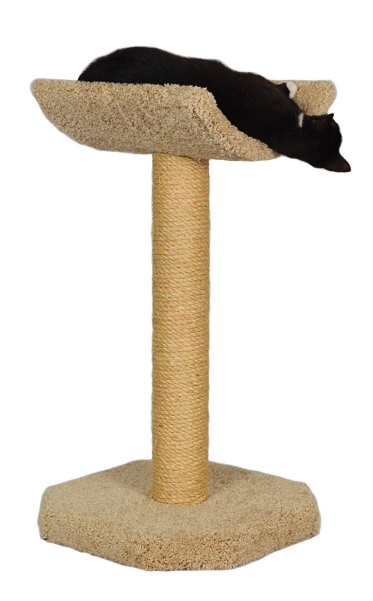 Cat Perches For Large Cats The Happy Cat Site