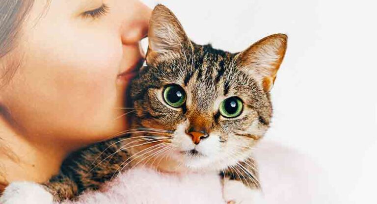 female cat names