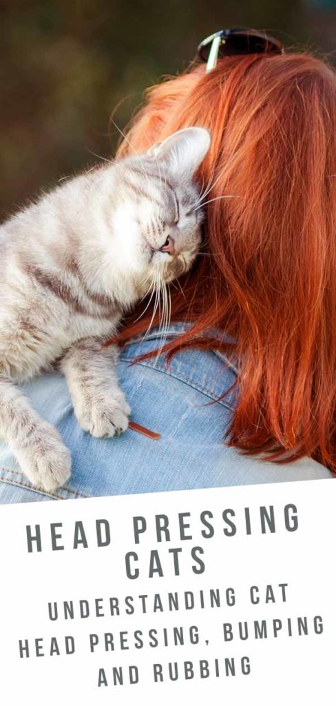 cat head pressing