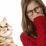 Cat Smells Bad