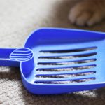 Best cat litter scoops