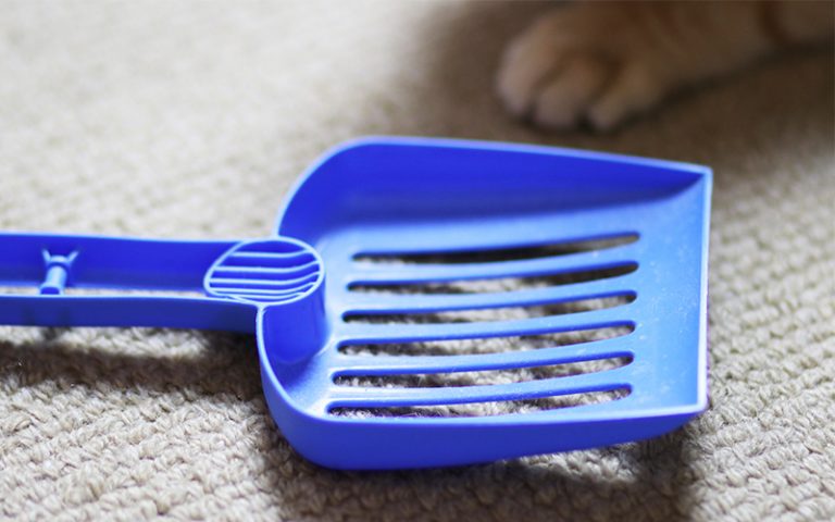 Best cat litter scoops