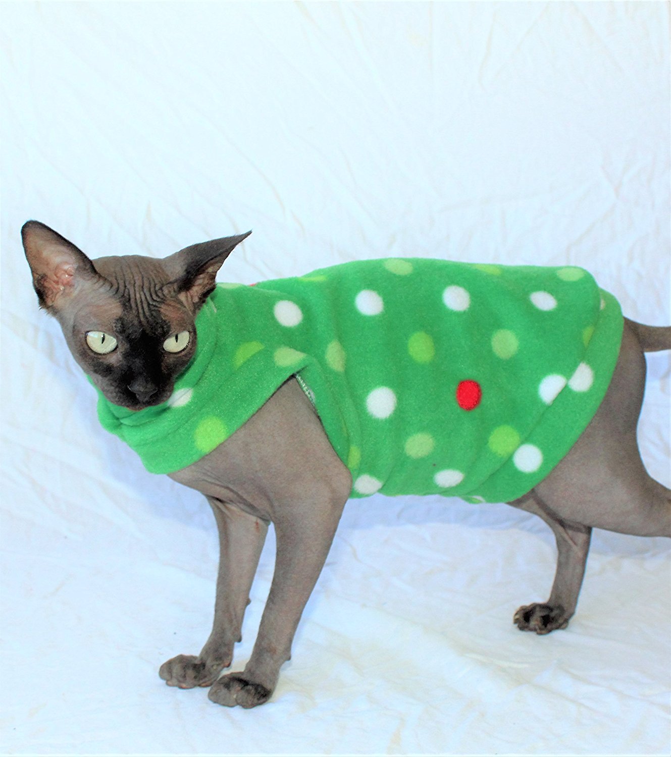 Sphynx Cat Find Out About Life With A Hairless Cat Breed