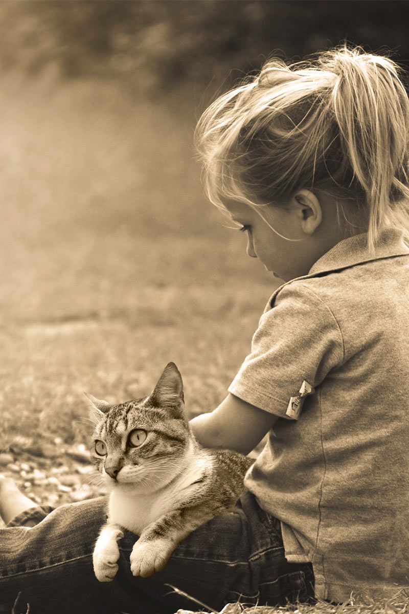 Cat and little girl