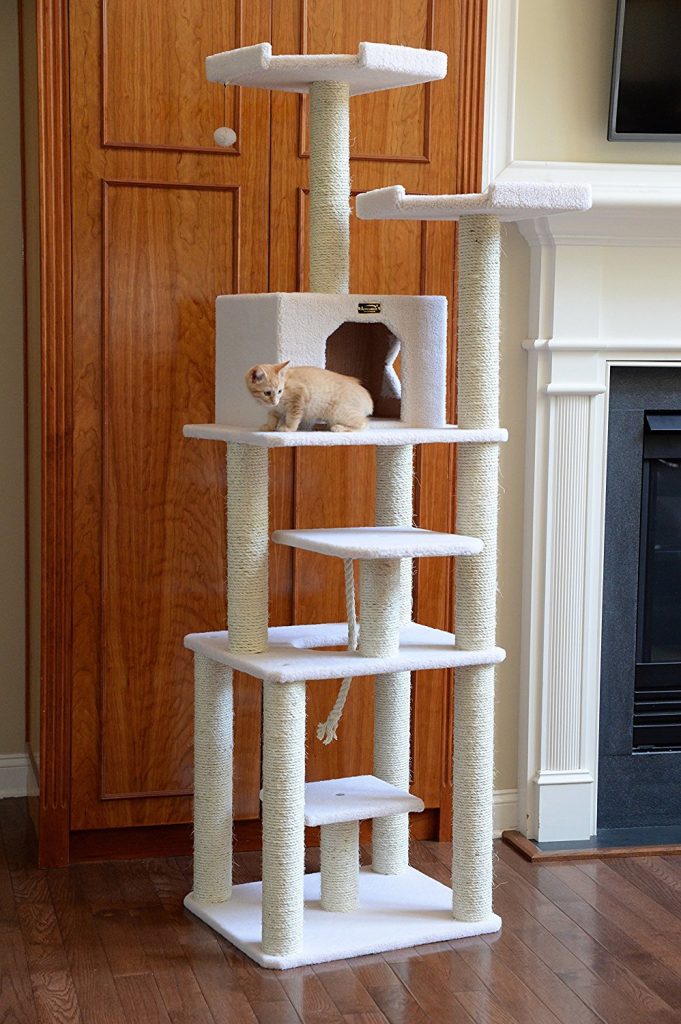 A Complete Guide To The Best Cat Trees Reviews and Tips For Choosing