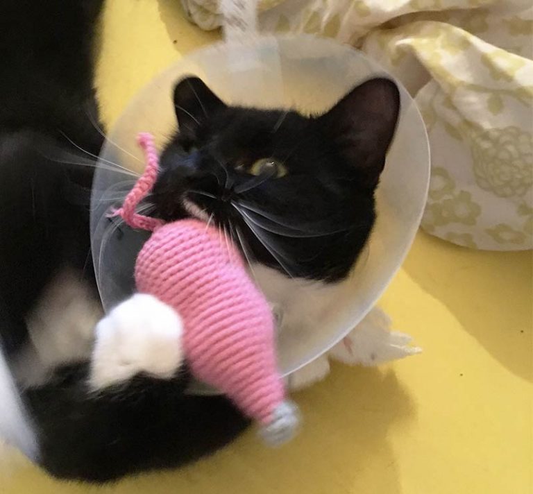 Best Crochet Catnip Mouse Pattern, Instructions And Tips