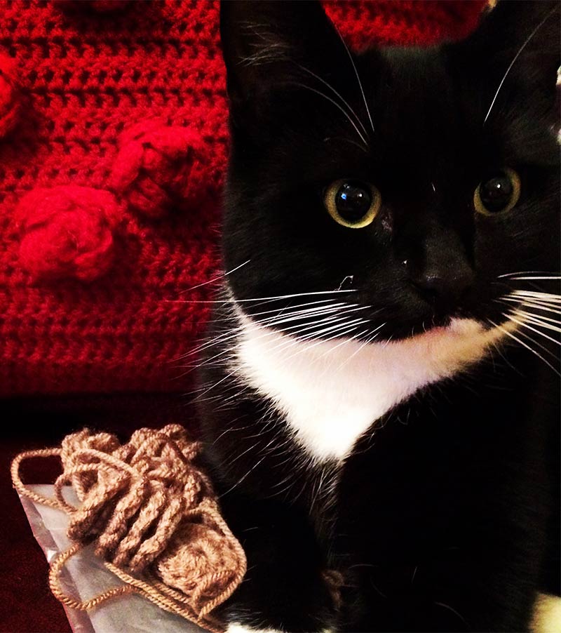 Crochet Catnip Mouse Pattern