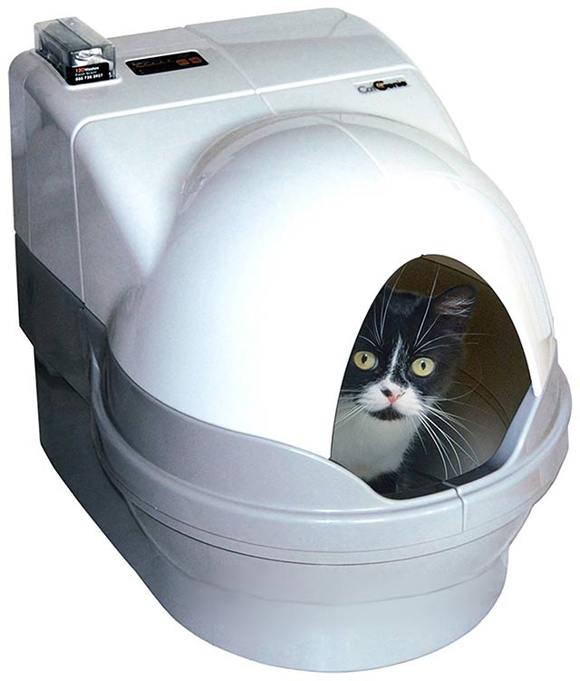 self cleaning litter box self cleaning litter box