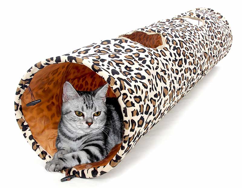 large cat tunnel