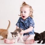 Hypoallergenic Cat Breeds - Cats That Don't Shed