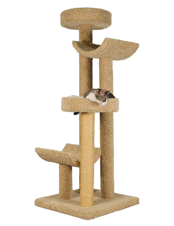 The Best Cat Condos Reviews And Top Tips For Buying The Right One