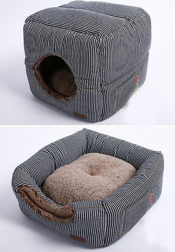 Best Designer Cat Furniture For Stylish Kitties & Their Owners