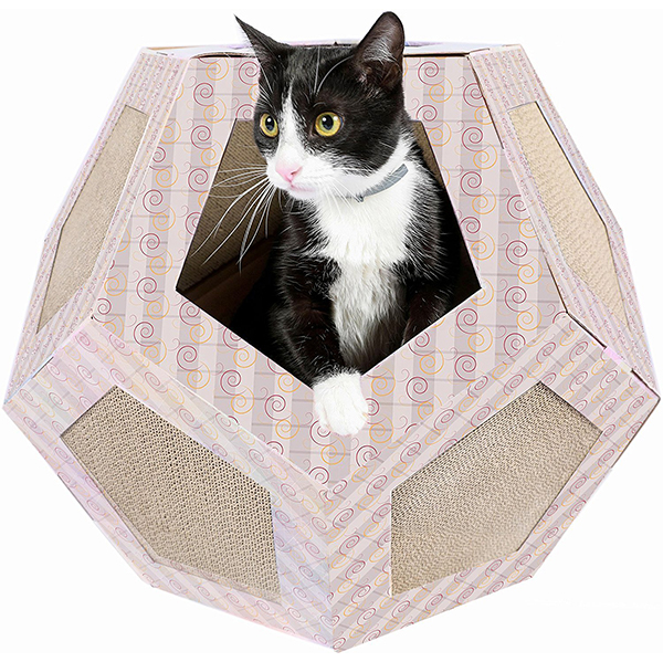 The Best Cat Condos Reviews And Top Tips For Buying The Right One