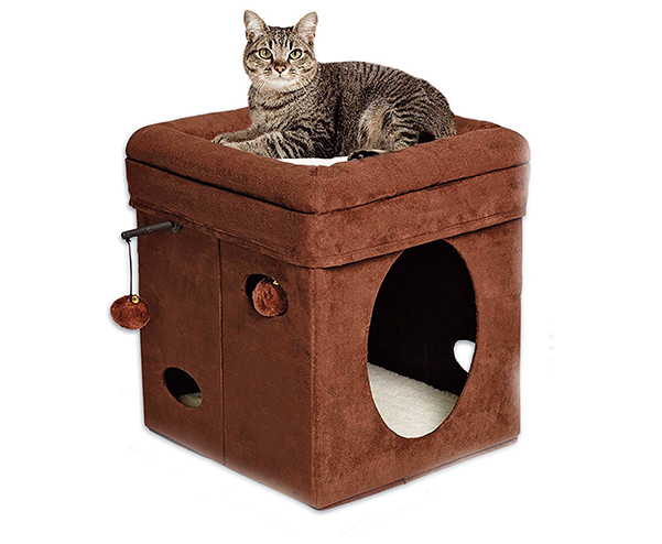 inexpensive cat toys