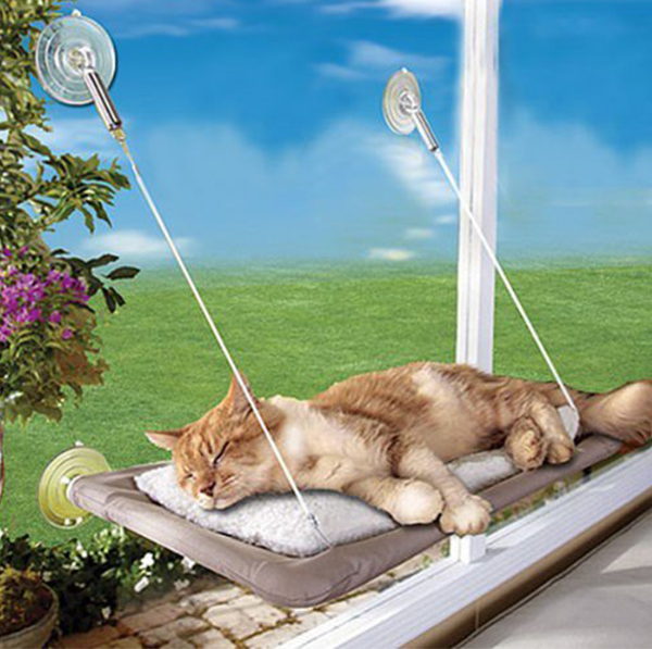 Best Cat Hammocks For Cute Kitties Reviews And Tips For Choosing