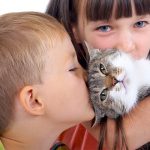 how to raise a friendly cat