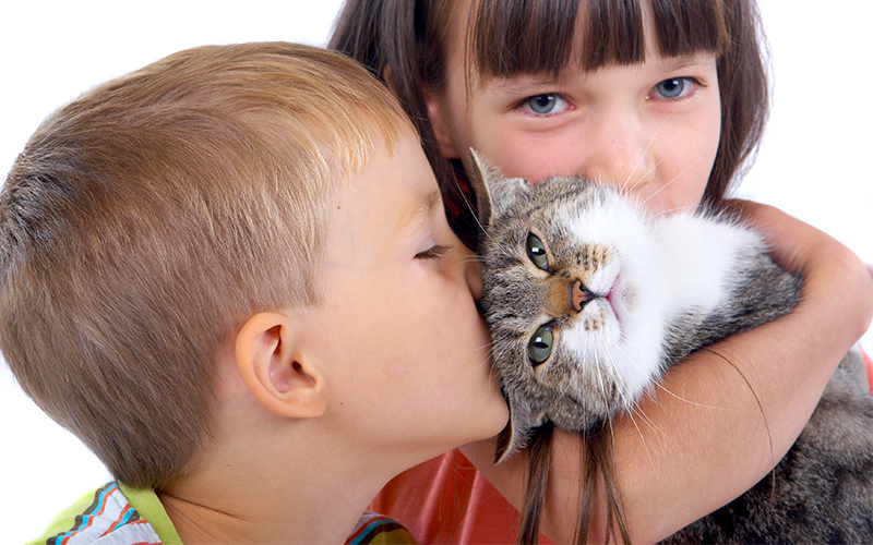 how to raise a friendly cat