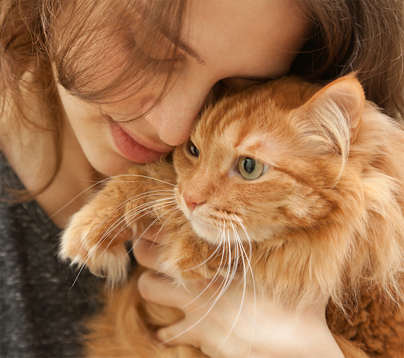 raising a friendly cat