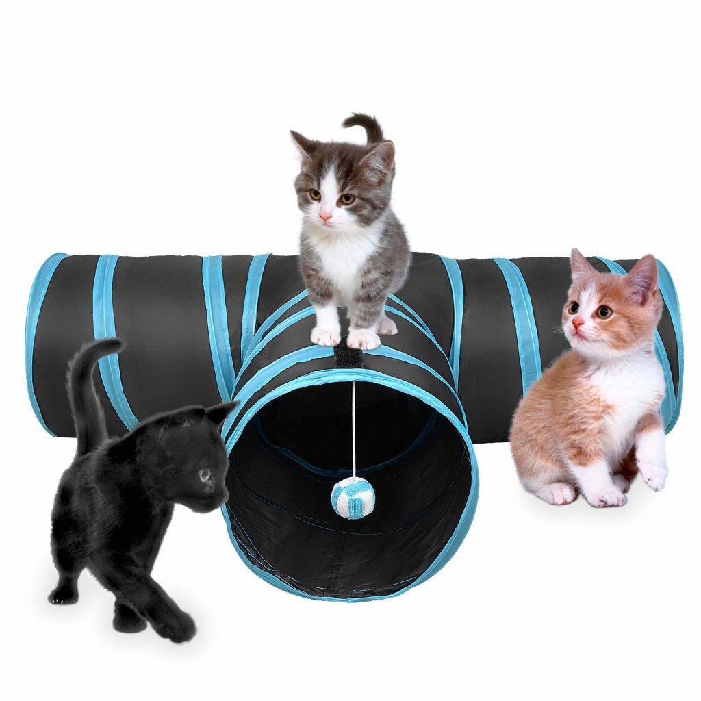Best Toy For Active Cats Best Toy For Active Cats