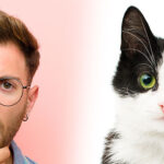 black and white cat facts
