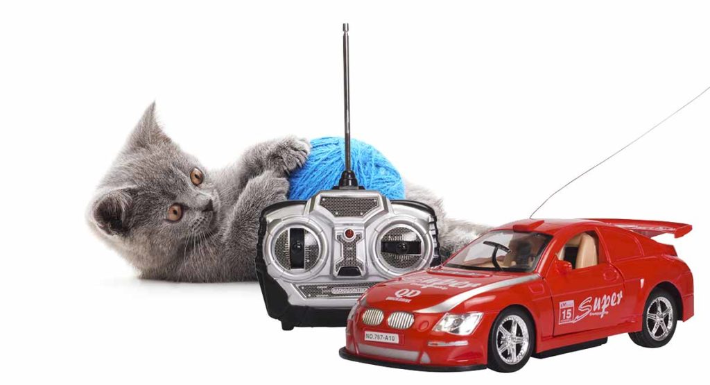 Reviews Of The Best Remote Control Cat Toys