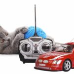 best remote control cat toy