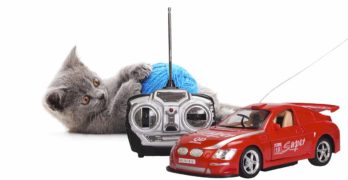 best remote control cat toy