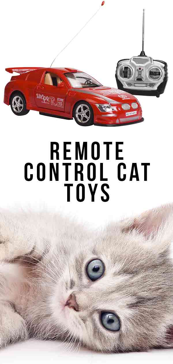 best remote control cat toy