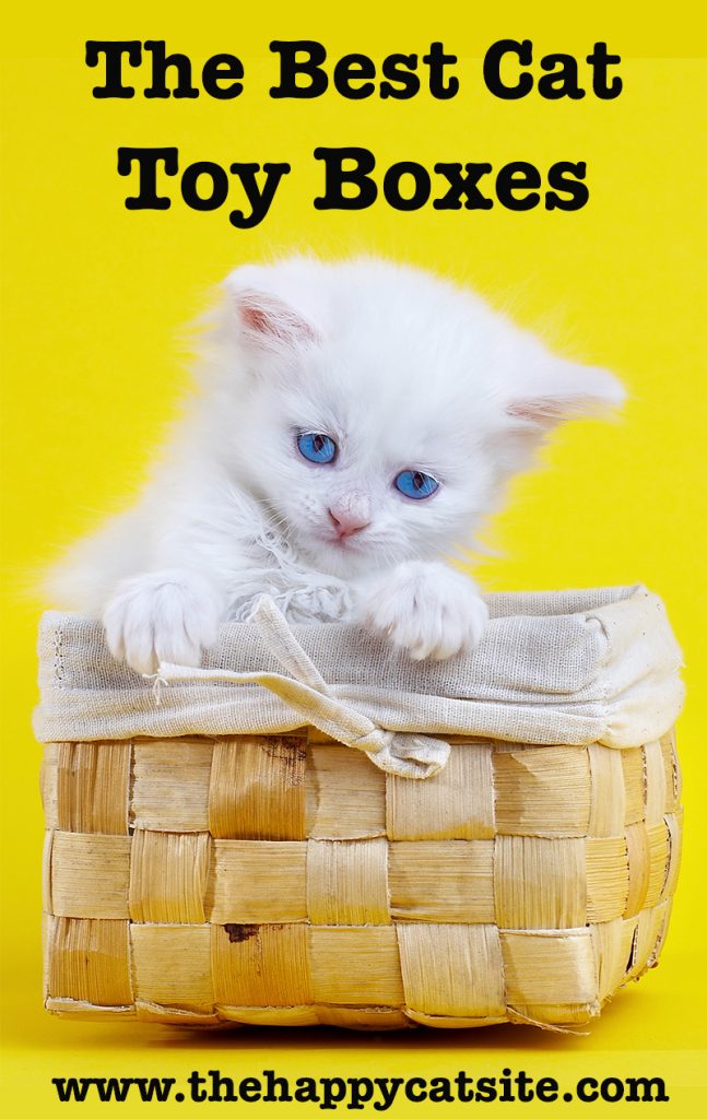 The Best Cat Toy Box Reviews And Tips For Choosing The Right One