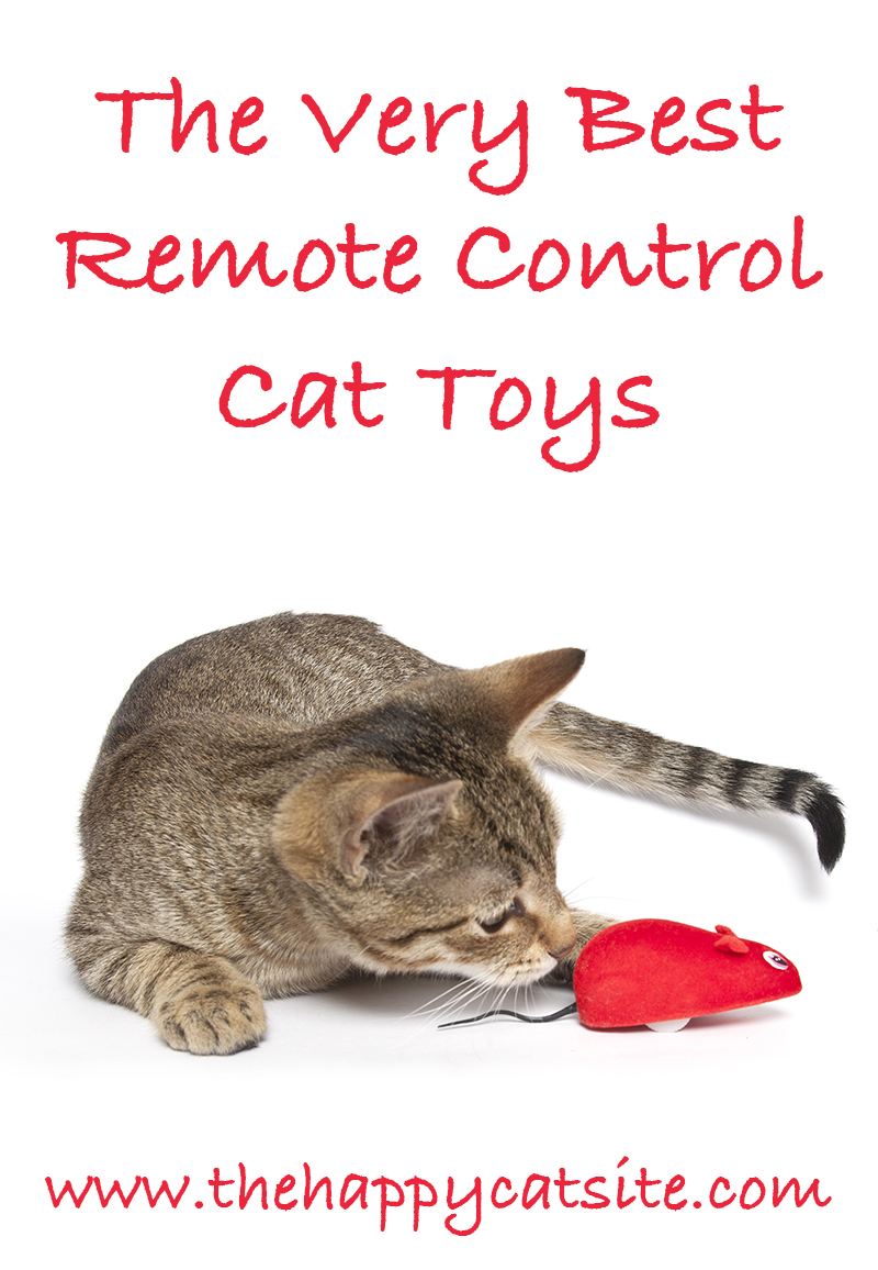 Remote Controlled Cat Toys 117