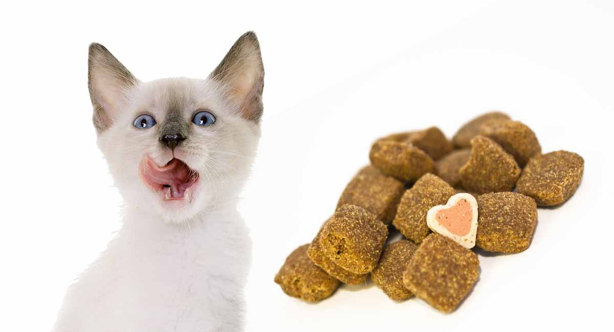 cat treats for kittens