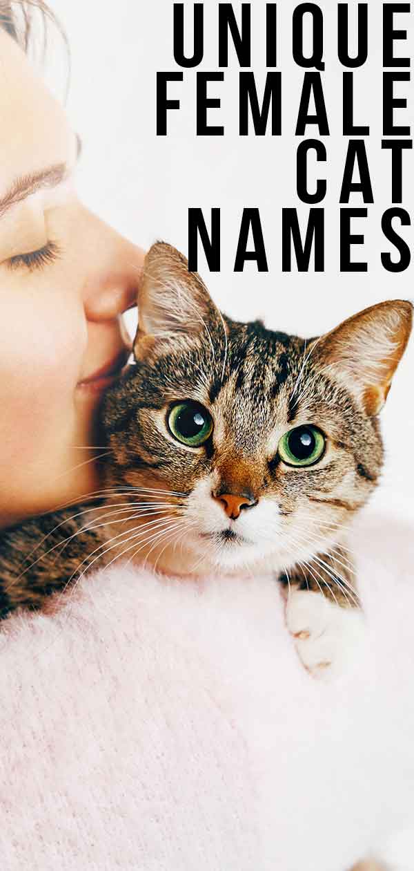 unique female cat names
