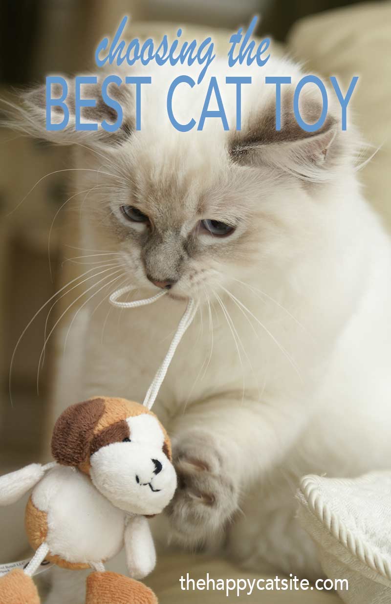 How to choose the best cat toy - boredom busting ideas and inspiration