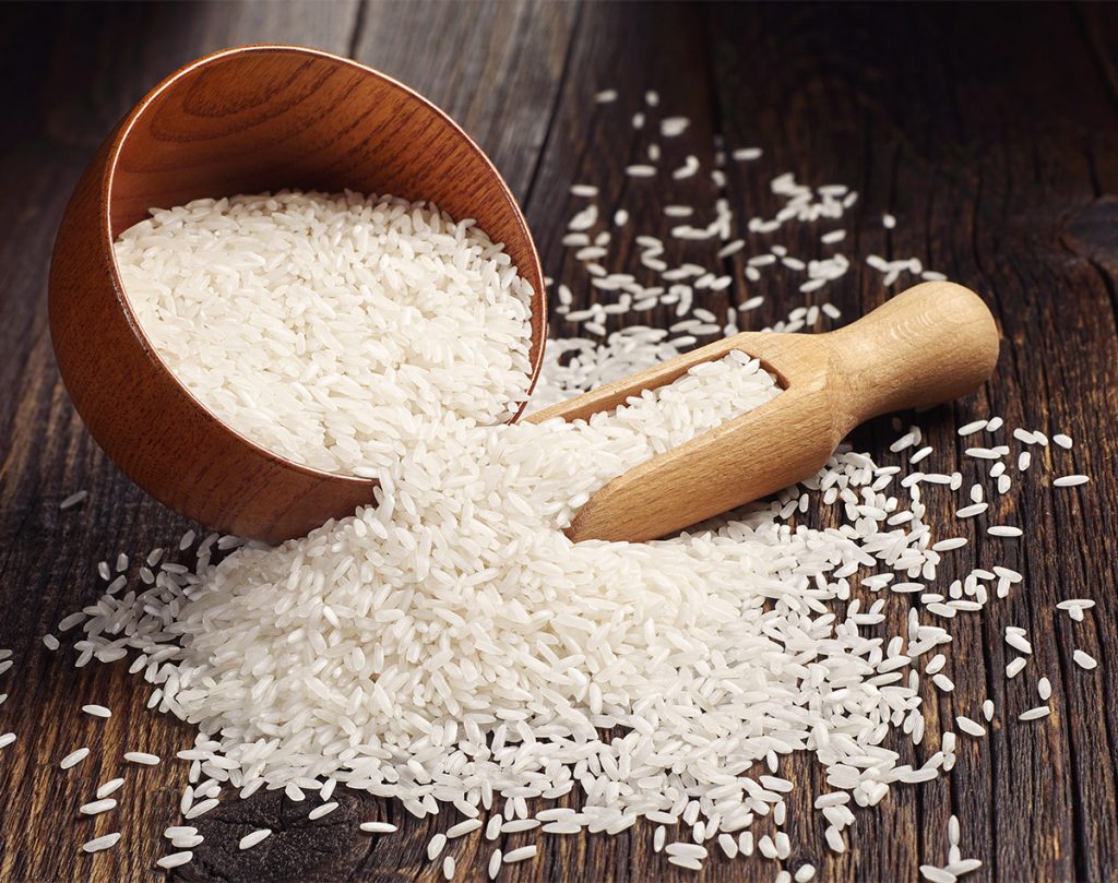 Can Cats Eat Rice From Boiled Rice Meals To Cat Food Fillers